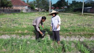 Polsek Kuripan Galakkan Pertanian Pekarangan Demi Kesejahteraan Warga