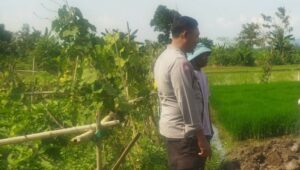 Polri Gerakkan Petani Lombok Barat Sukseskan Program Ketahanan Pangan Nasional
