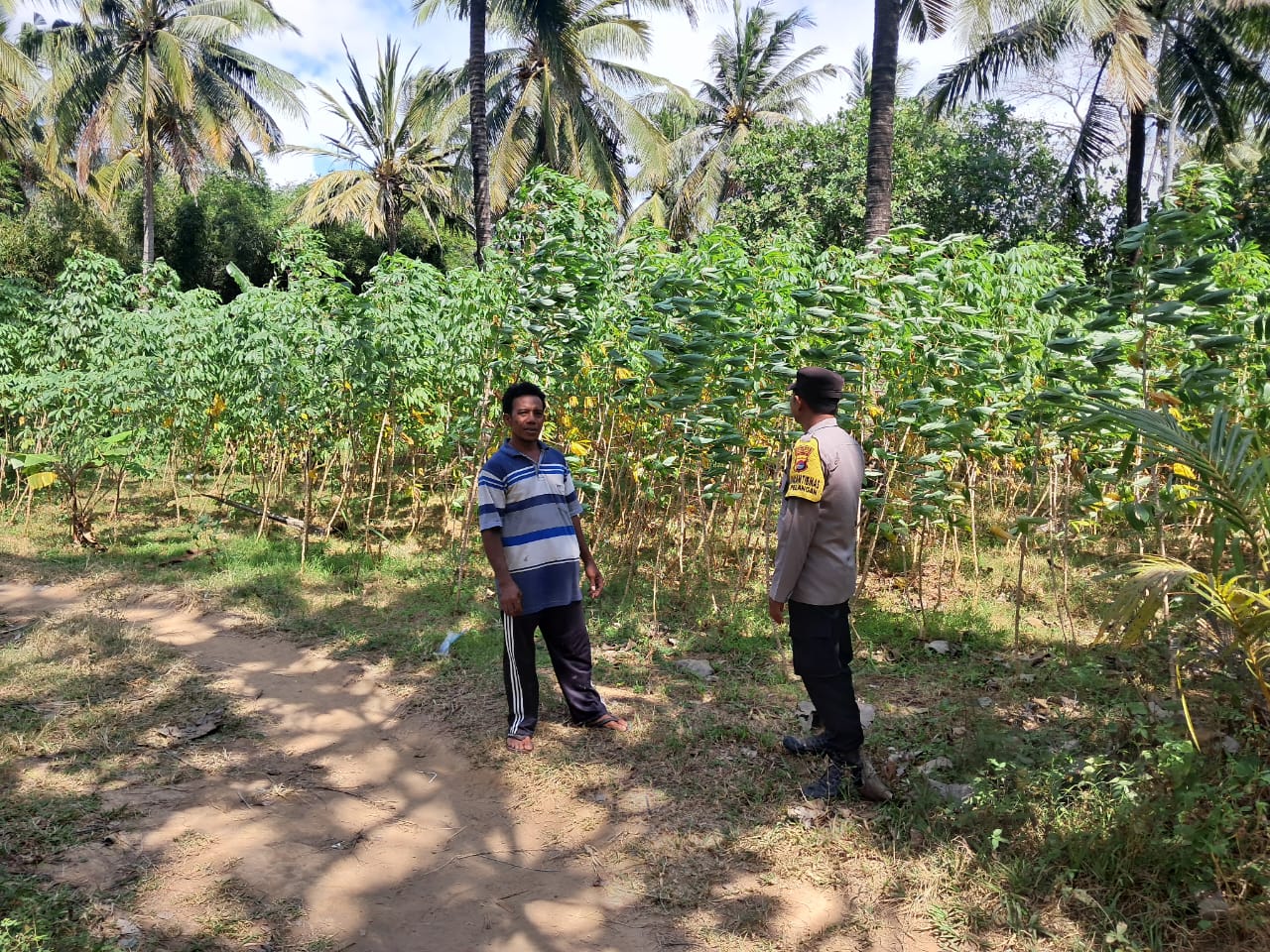 Sinergi Polsek Sekotong dan Warga Pelangan dalam Mewujudkan Kemandirian Pangan