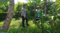 Sinergi Polri dan Petani di Lombok Barat Perkuat Kemandirian Pangan