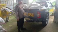 Polisi Turun ke Ladang, Pastikan Jagung Petani Lembar Terserap BULOG