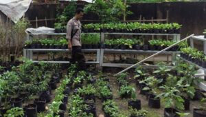 Polsek Labuapi Dorong Ketahanan Pangan di Desa Bengkel